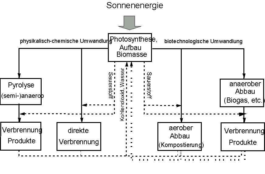 Abbaumglichkeiten fr Biomasse